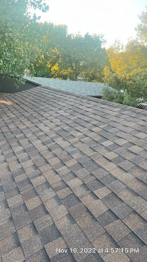 roof shingles