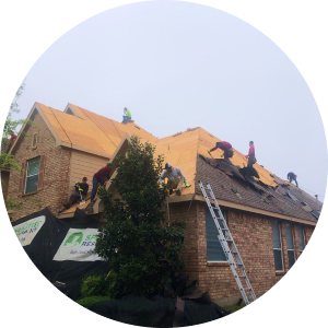 Roof Replacements