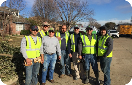 Springtree team pic